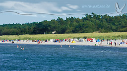 Sommer an der Ostsee
