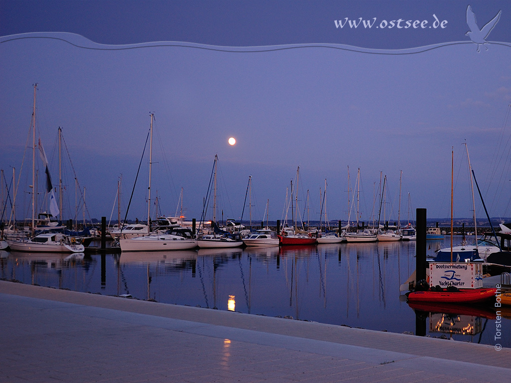 Hintergrundbild: Vollmond über der Ostsee