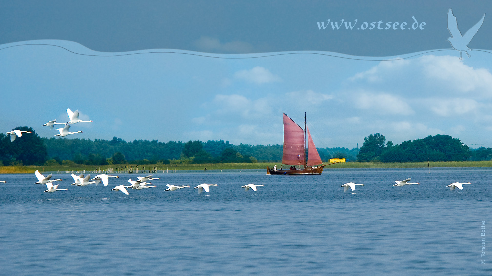 Schwäne und Zeesboot an der Ostsee