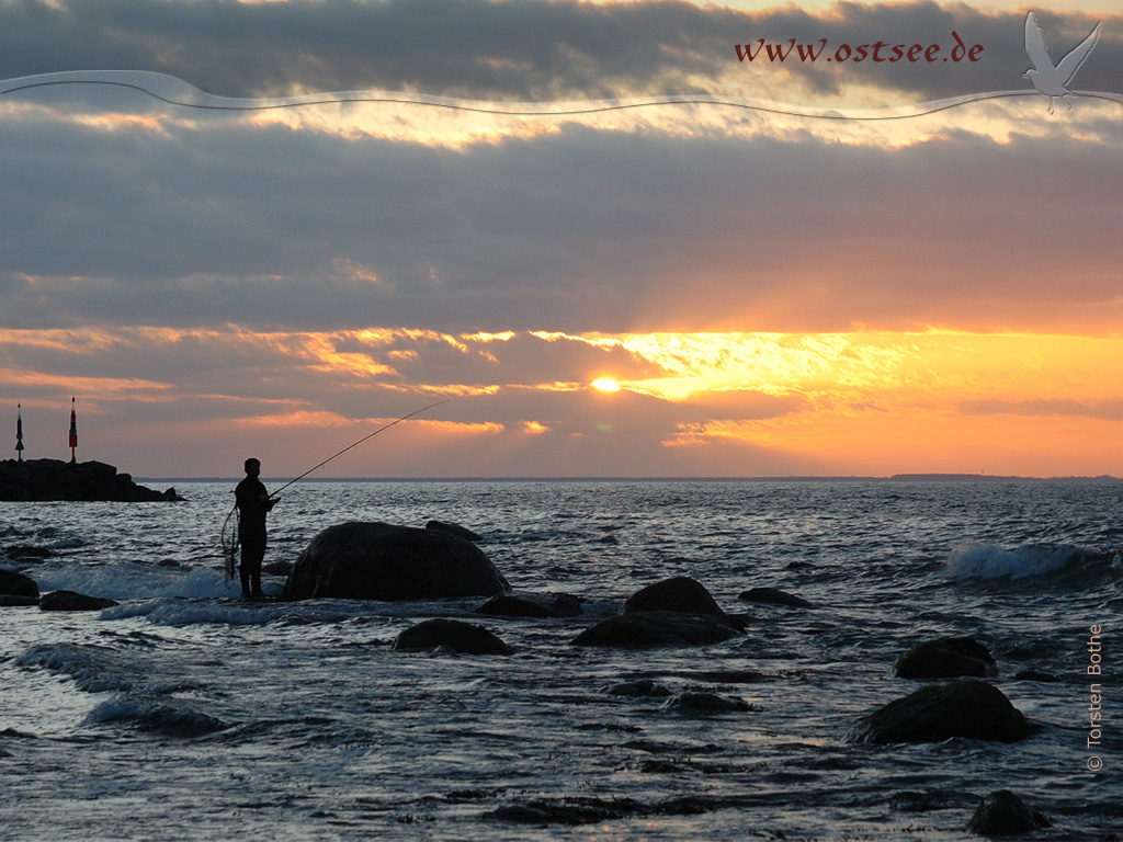 Hintergrundbild: Strandangeln an der Ostsee