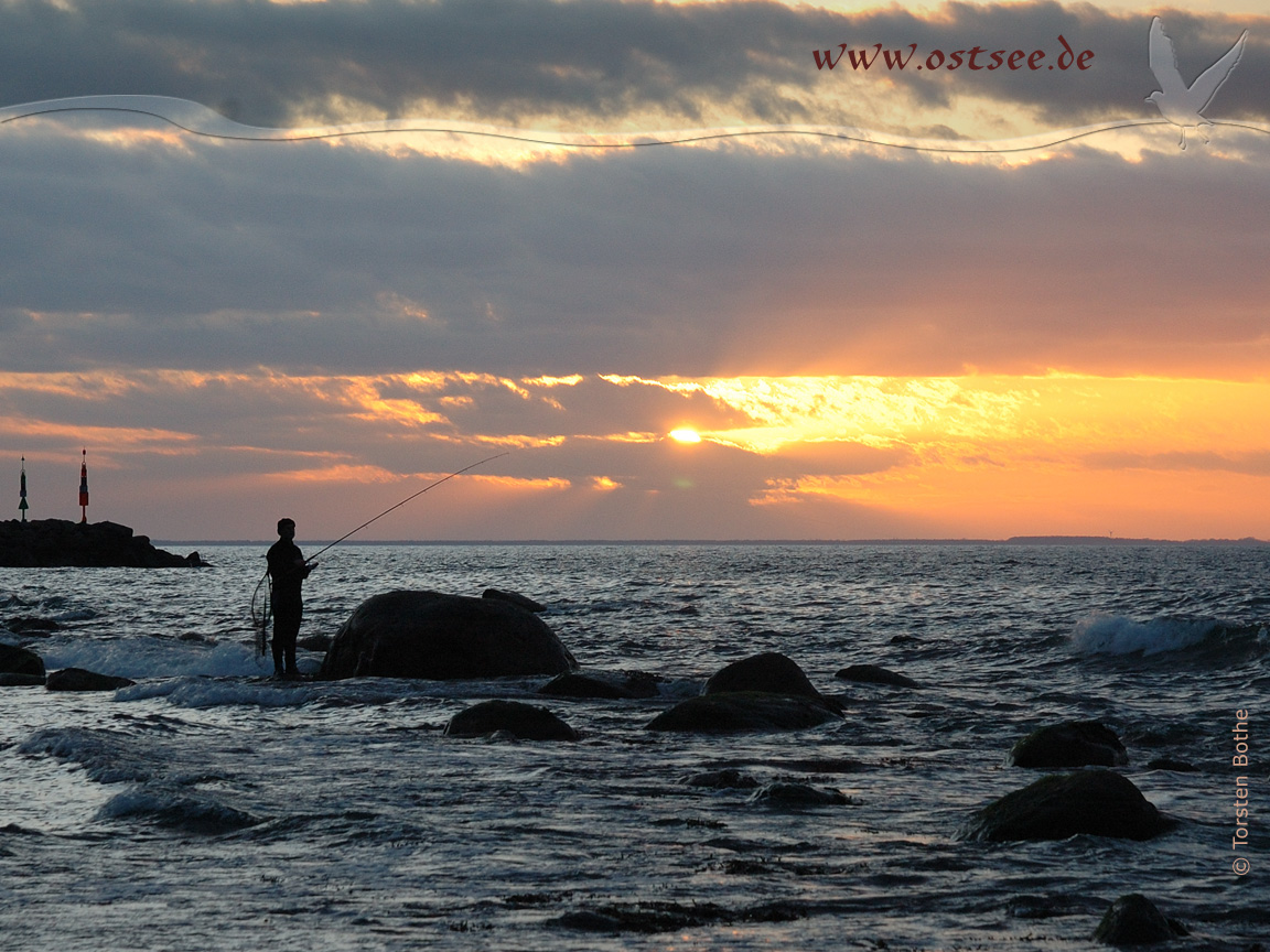 Strandangeln an der Ostsee