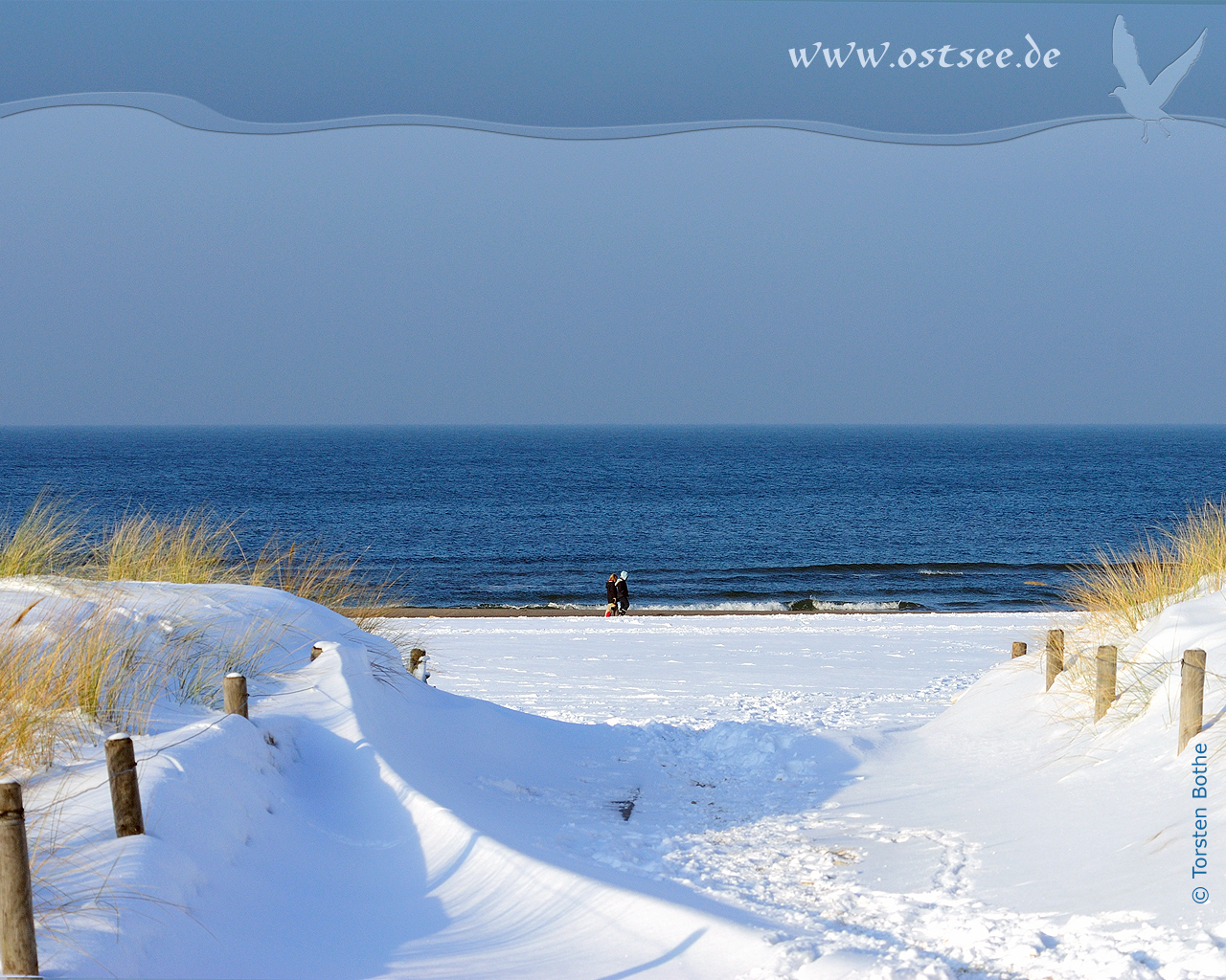 Hintergrundbild: Winter an der Ostsee