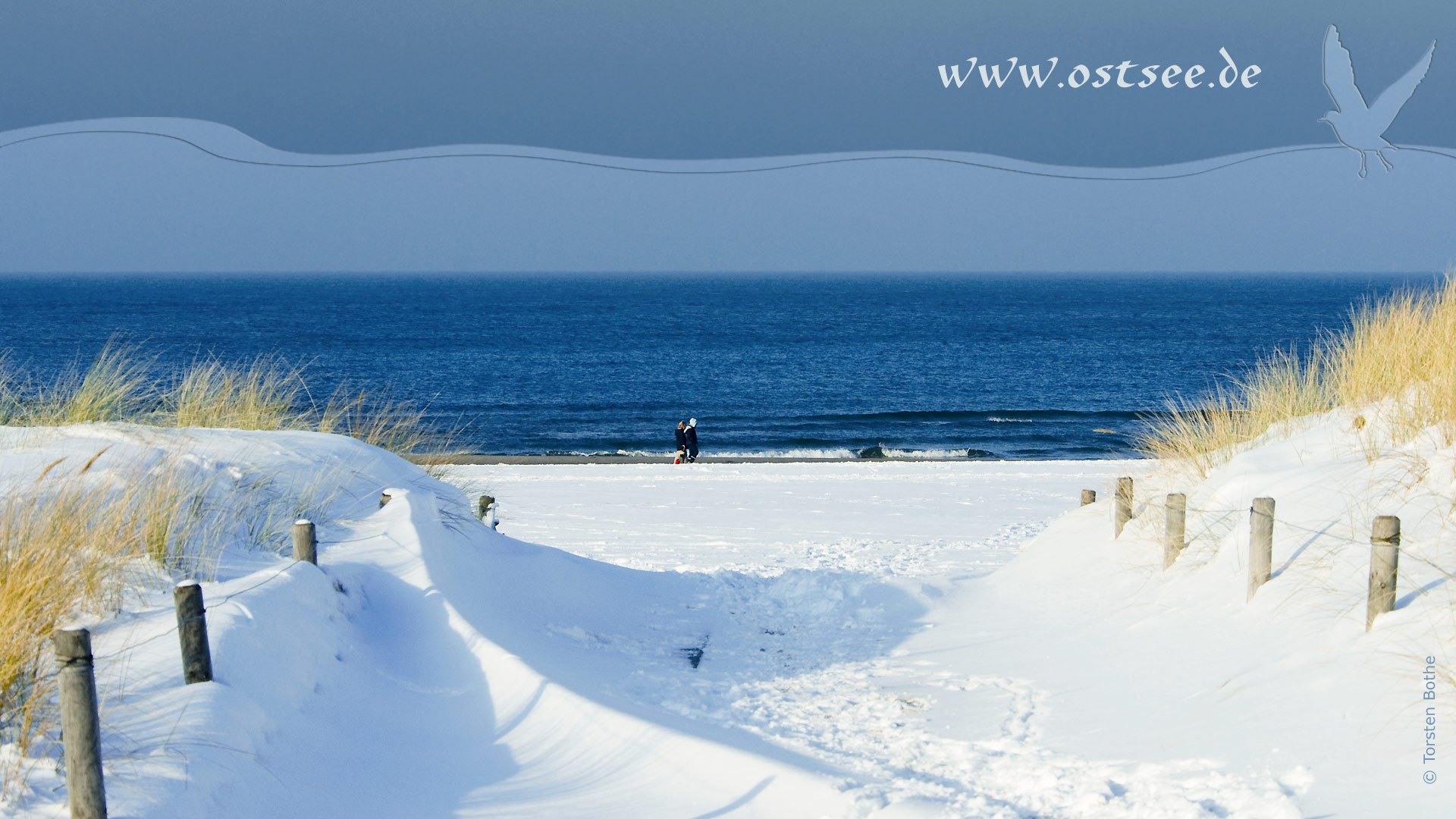 Hintergrundbild: Winter an der Ostsee