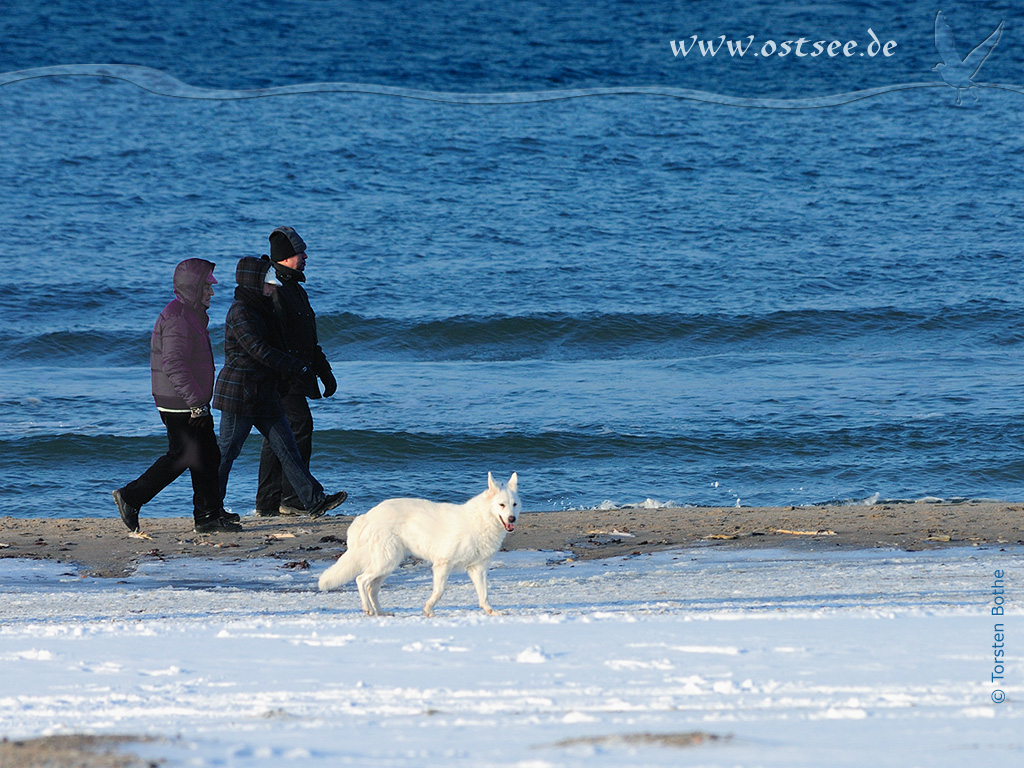 Hintergrundbild: Winter an der Ostsee