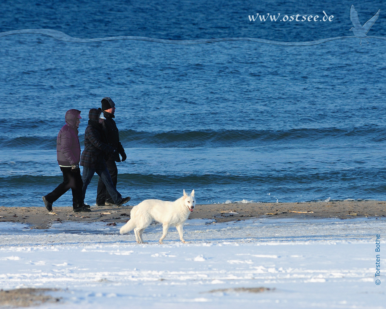 Hintergrundbild: Winter an der Ostsee