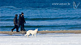 Winter an der Ostsee