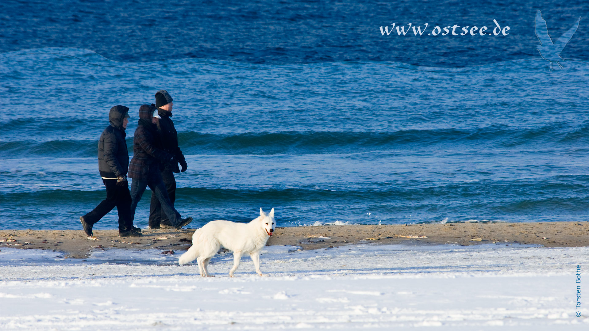 Hintergrundbild: Winter an der Ostsee