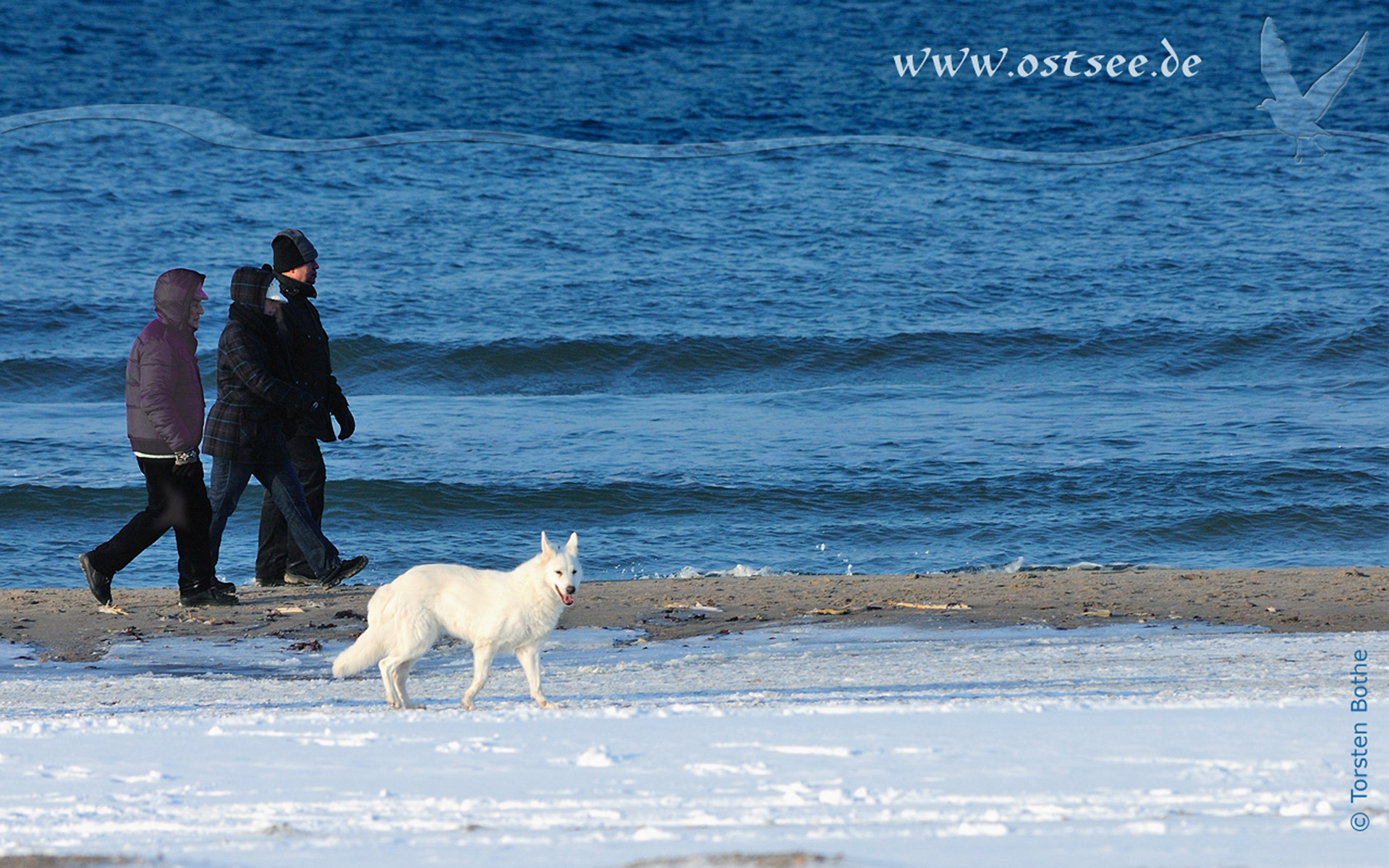 Hintergrundbild: Winter an der Ostsee