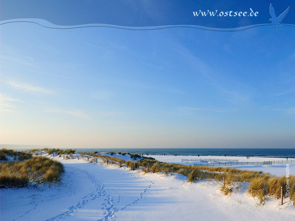 Hintergrundbild: Winter an der Ostsee