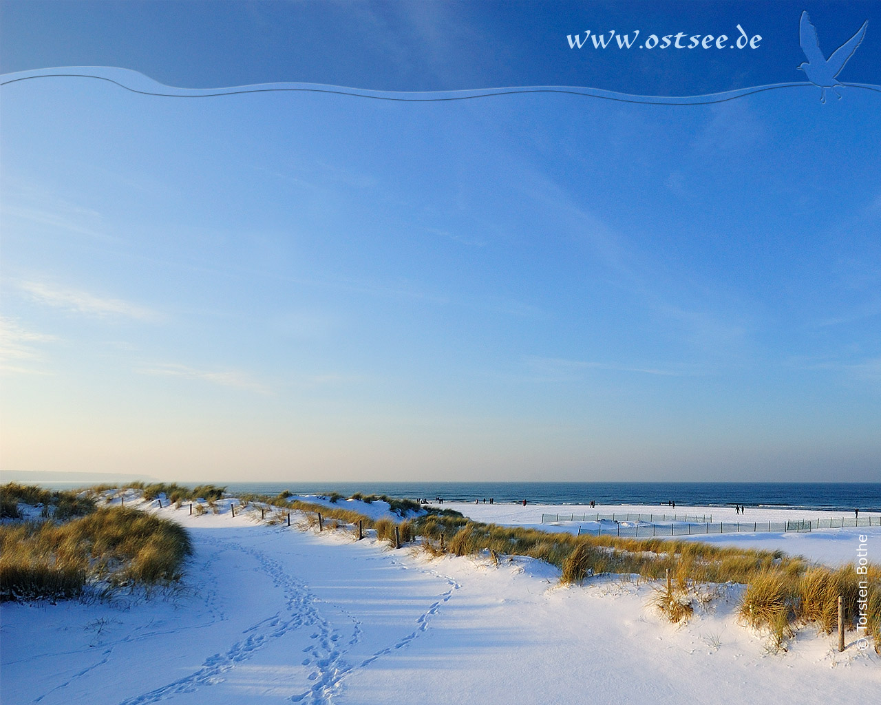Hintergrundbild: Winter an der Ostsee