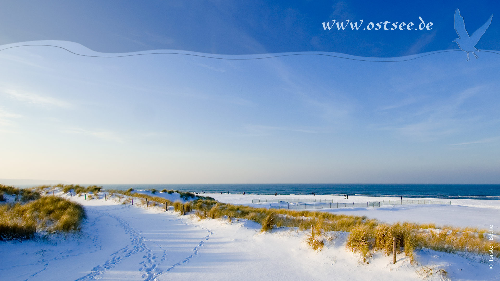 Hintergrundbild: Winter an der Ostsee