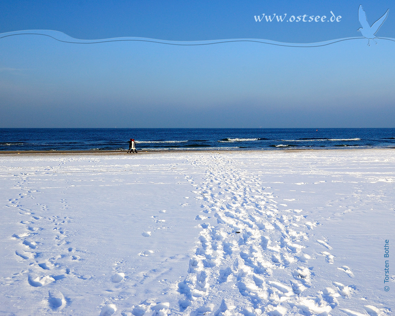 Hintergrundbild: Winter an der Ostsee