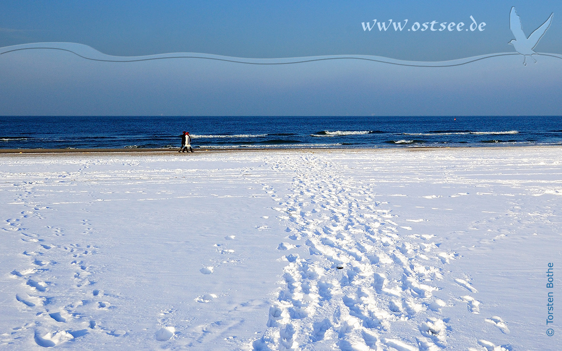 Hintergrundbild: Winter an der Ostsee