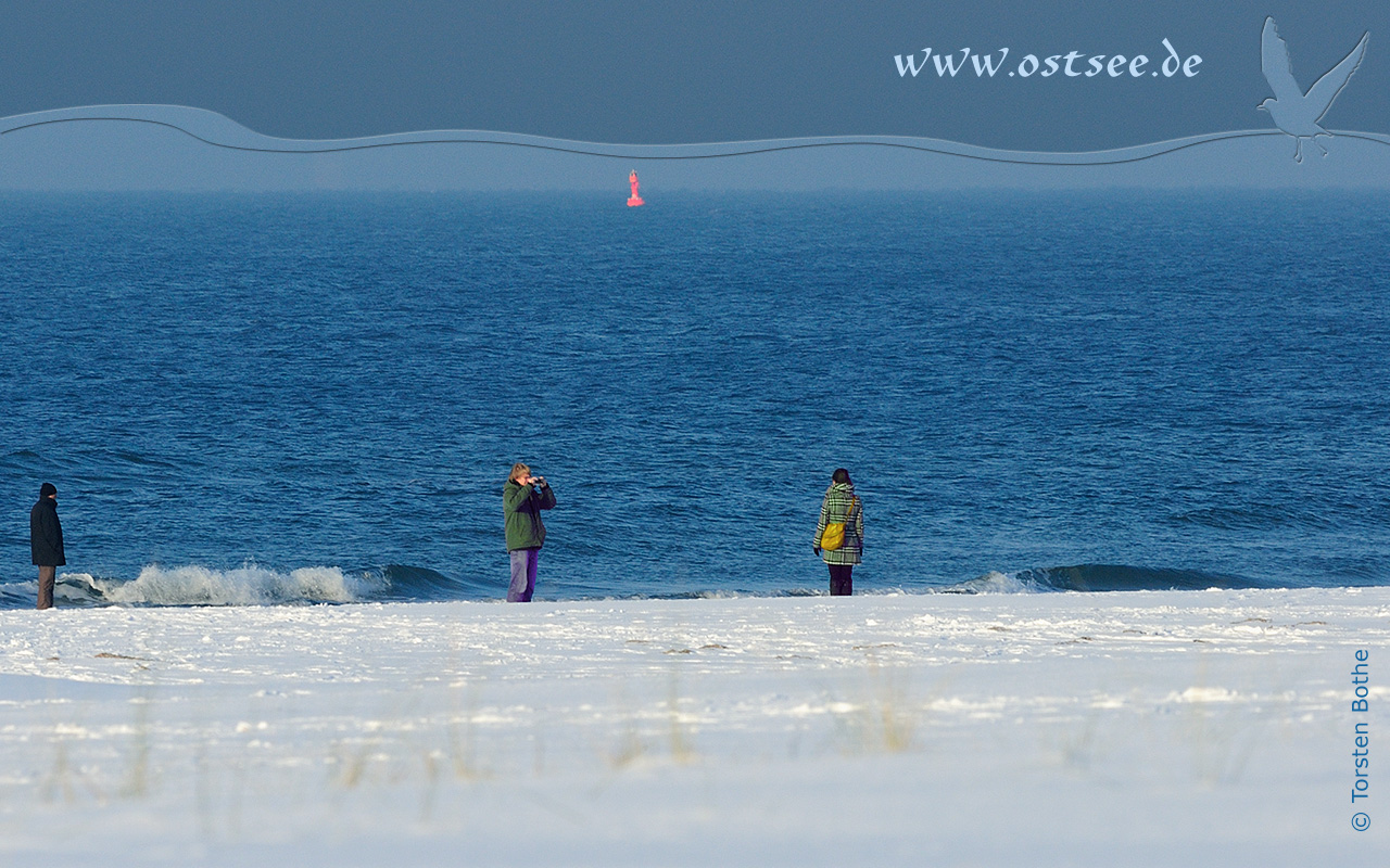 Hintergrundbild: Winter an der Ostsee