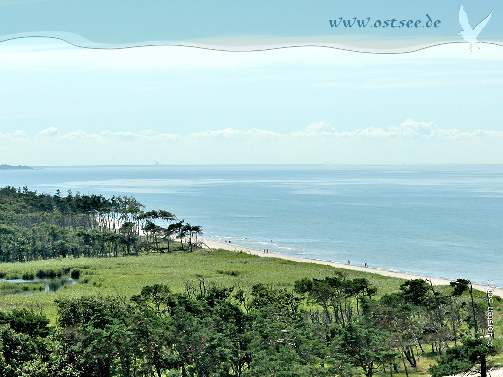 Hintergrundbild: Naturstrand an der Ostsee