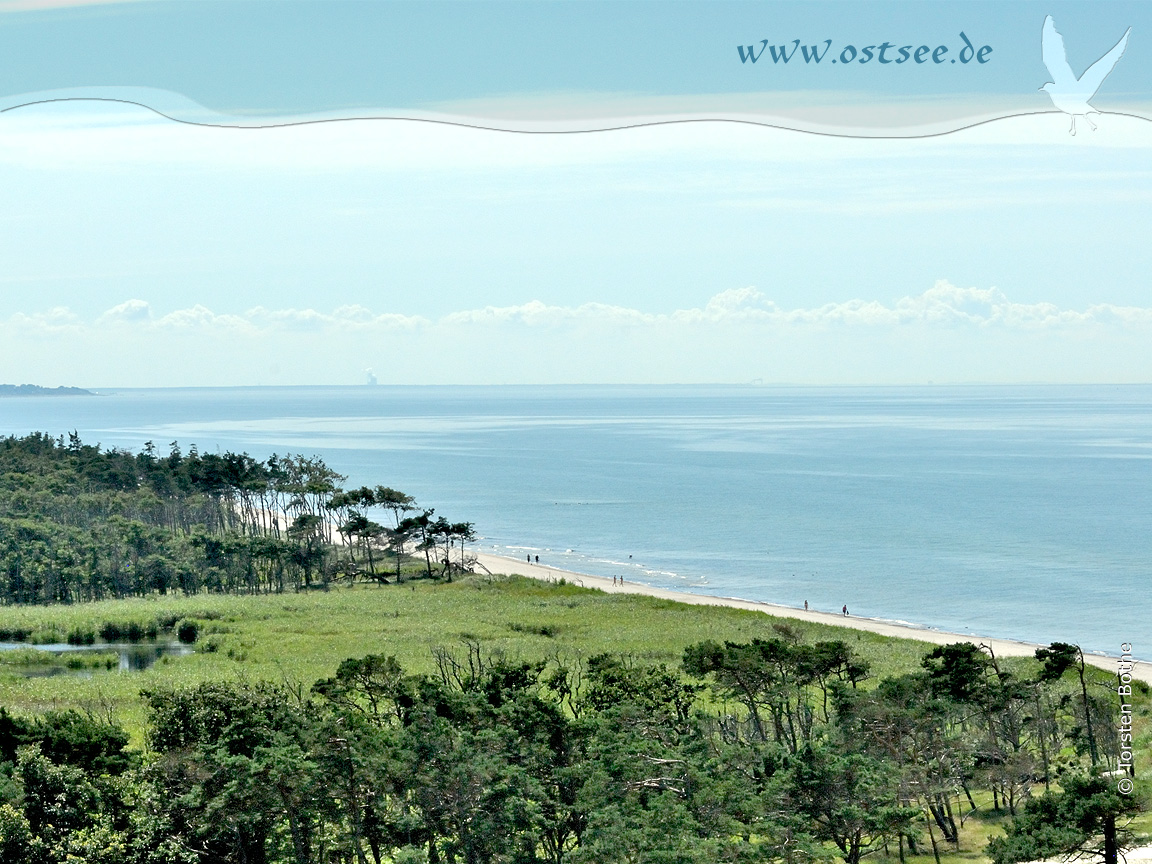 Naturstrand an der Ostsee