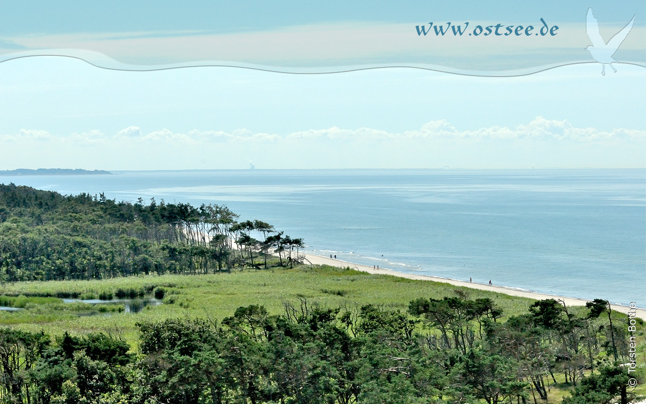 Naturstrand an der Ostsee