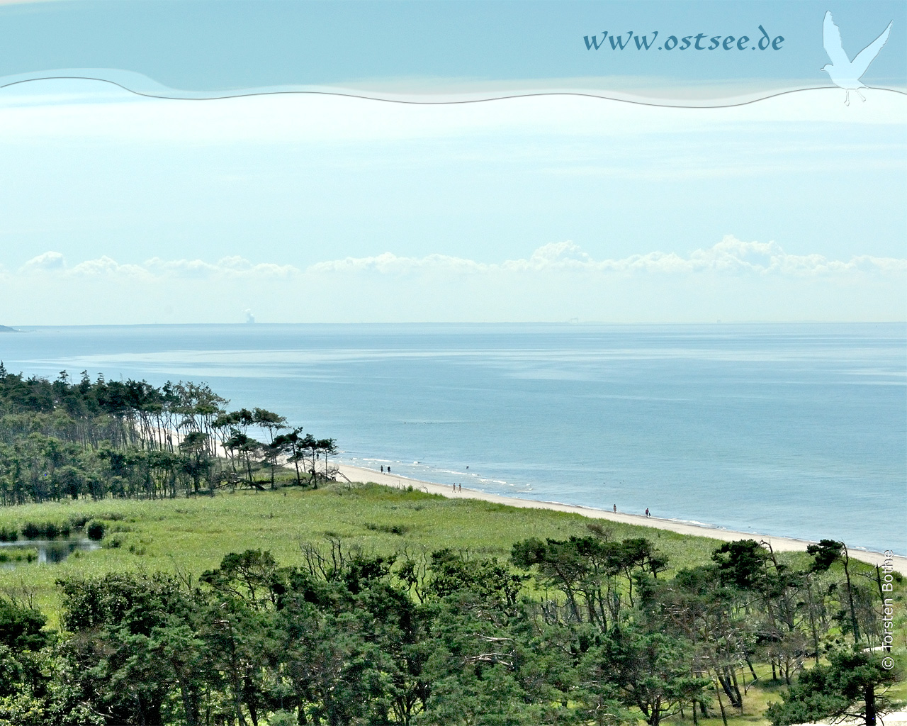 Naturstrand an der Ostsee