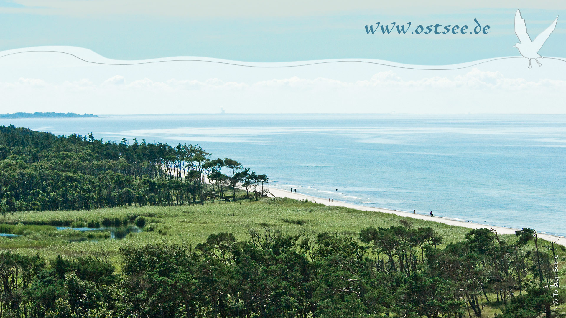 Hintergrundbild: Naturstrand an der Ostsee