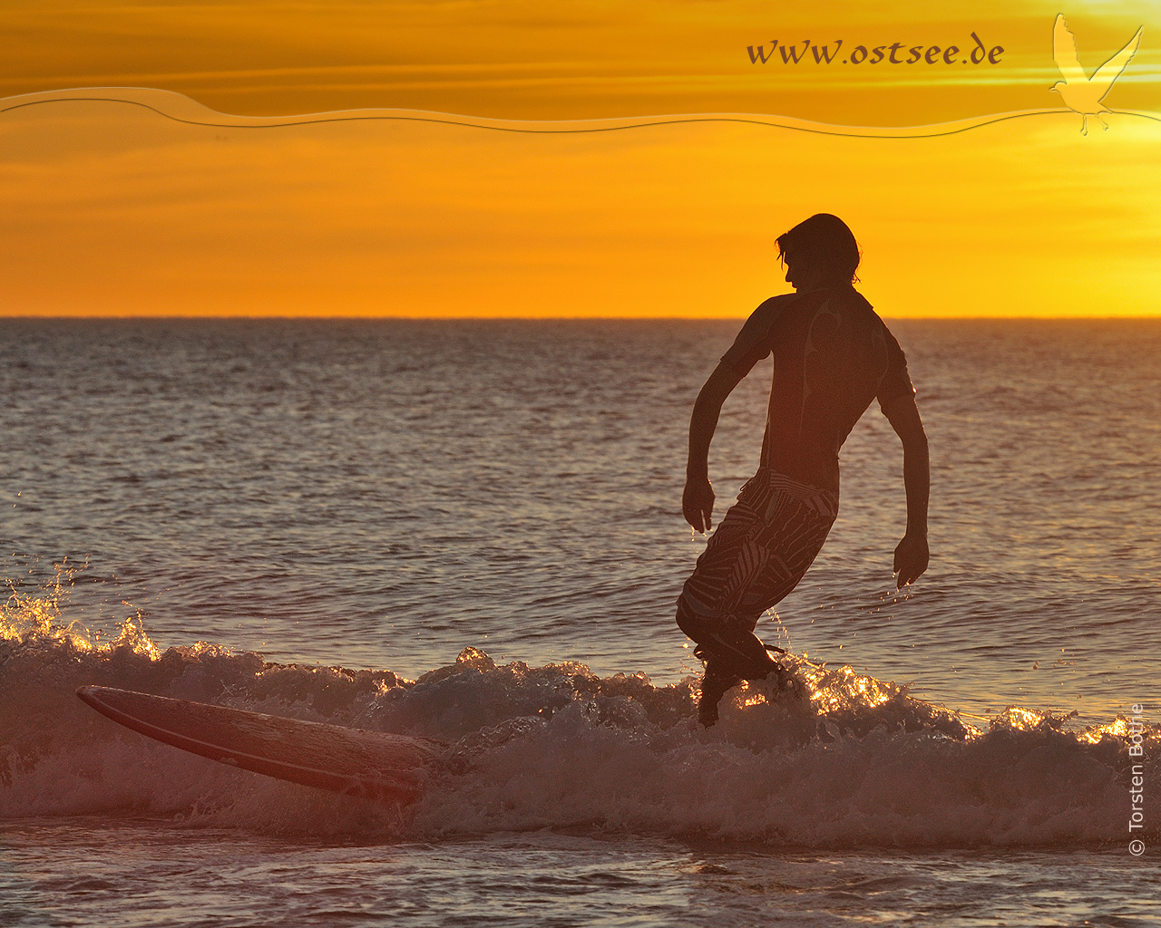 Hintergrundbild: Wellenreiten an der Ostsee