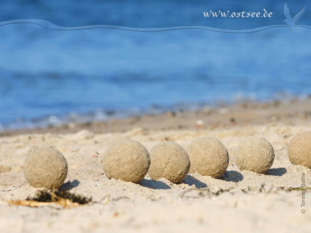 Hintergrundbild: Sandkunst an der Ostsee