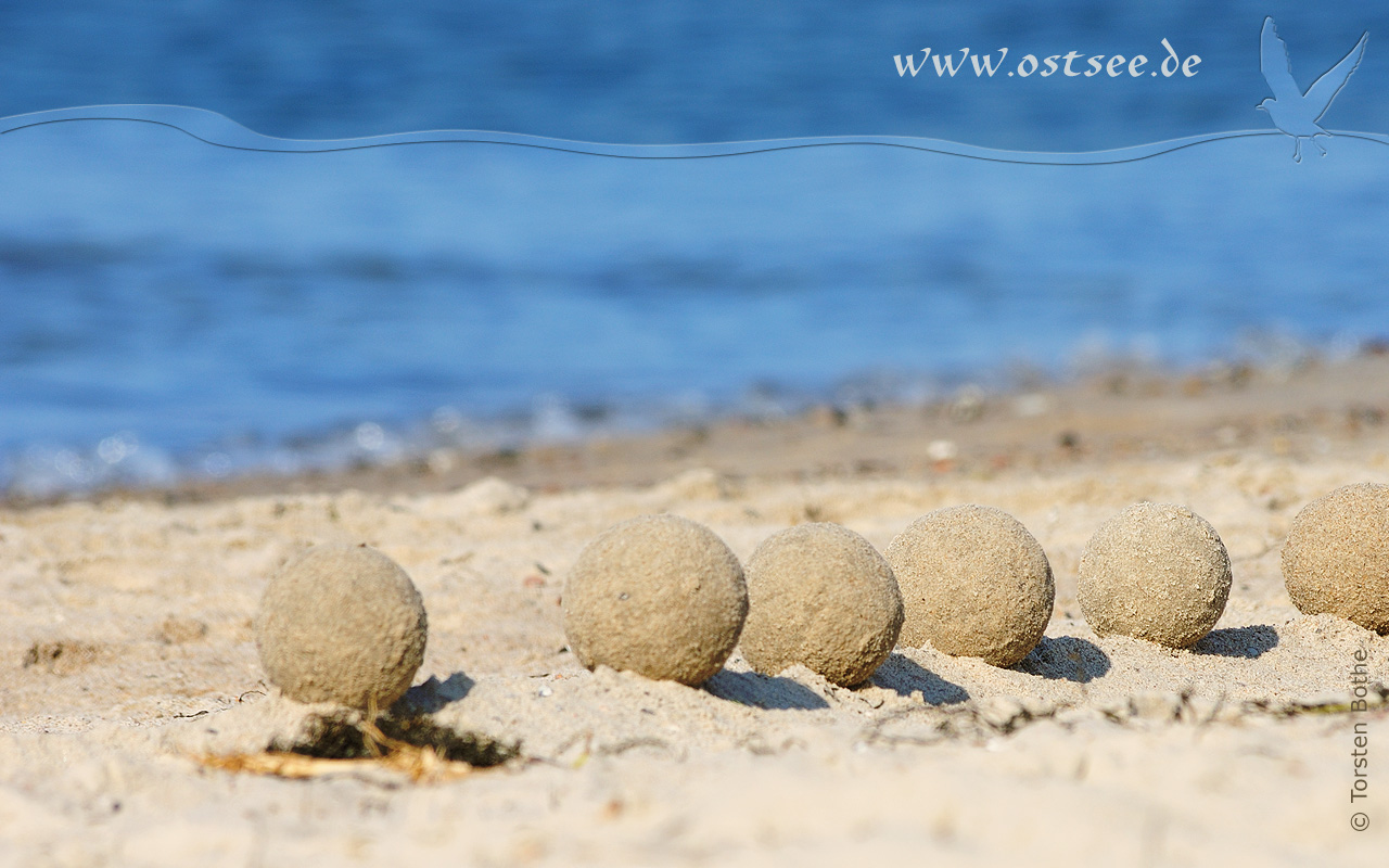 Hintergrundbild: Sandkunst an der Ostsee