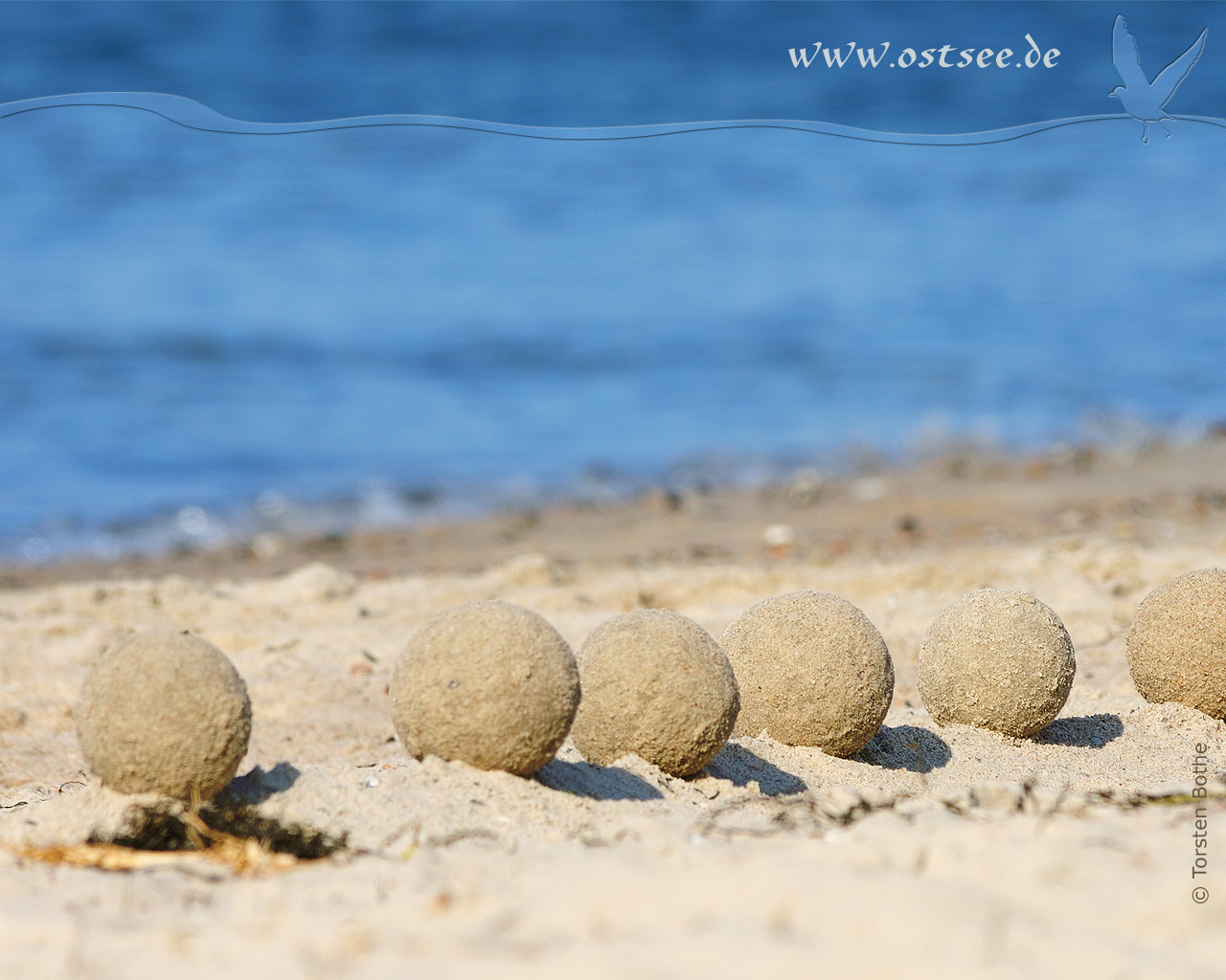 Sandkunst an der Ostsee