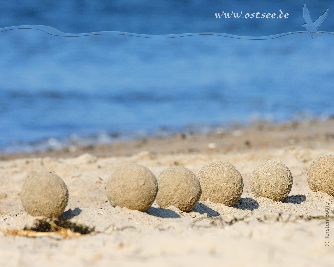 Hintergrundbild: Sandkunst an der Ostsee