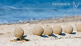 Sandkunst an der Ostsee