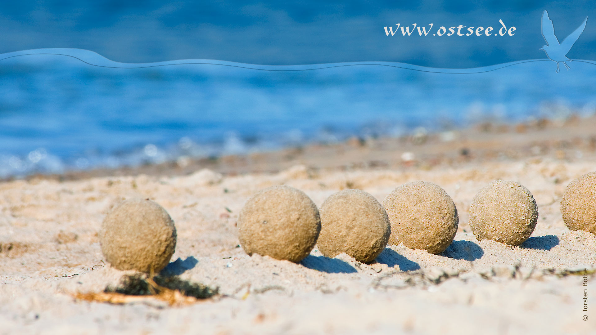 Sandkunst an der Ostsee