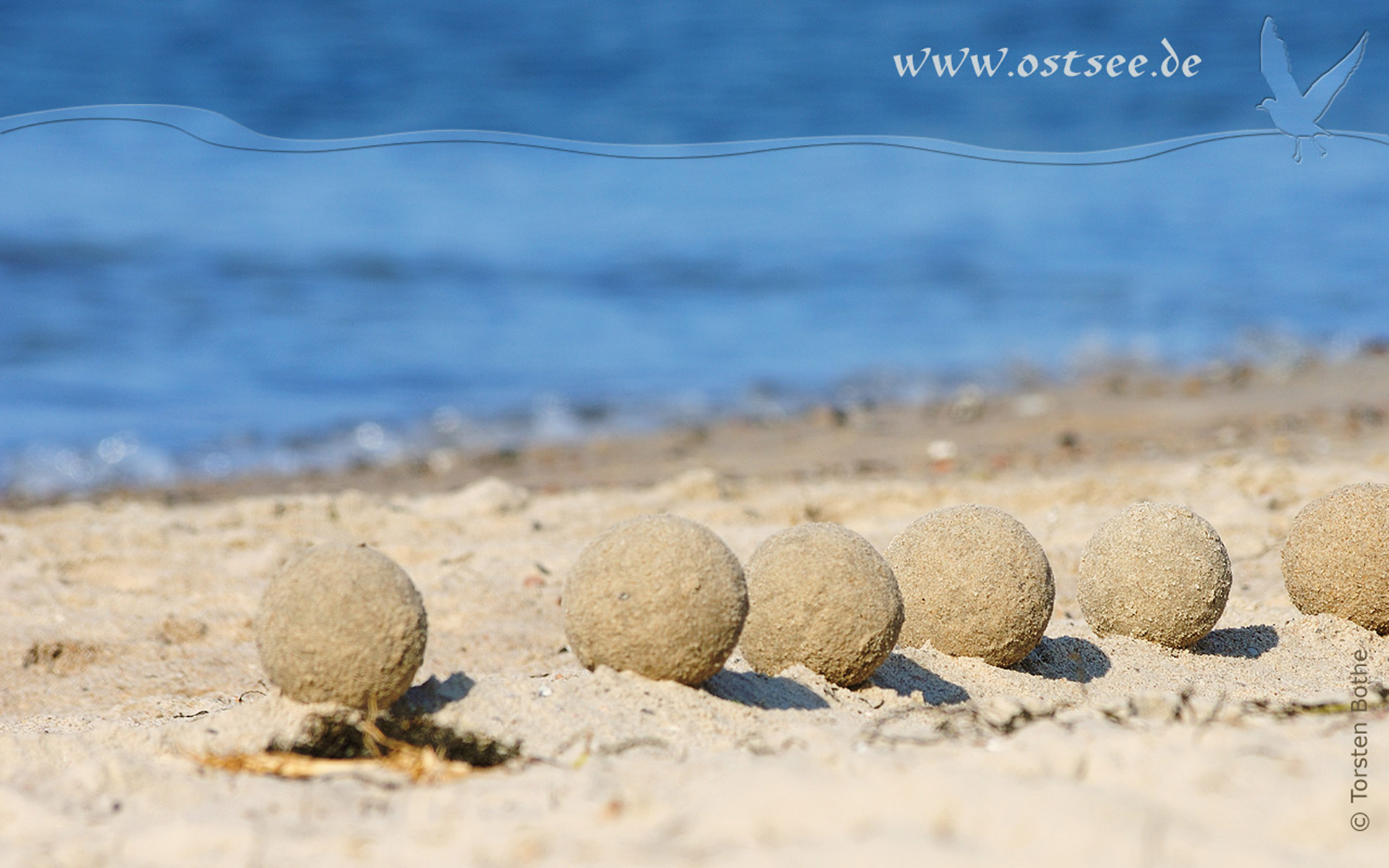 Sandkunst an der Ostsee