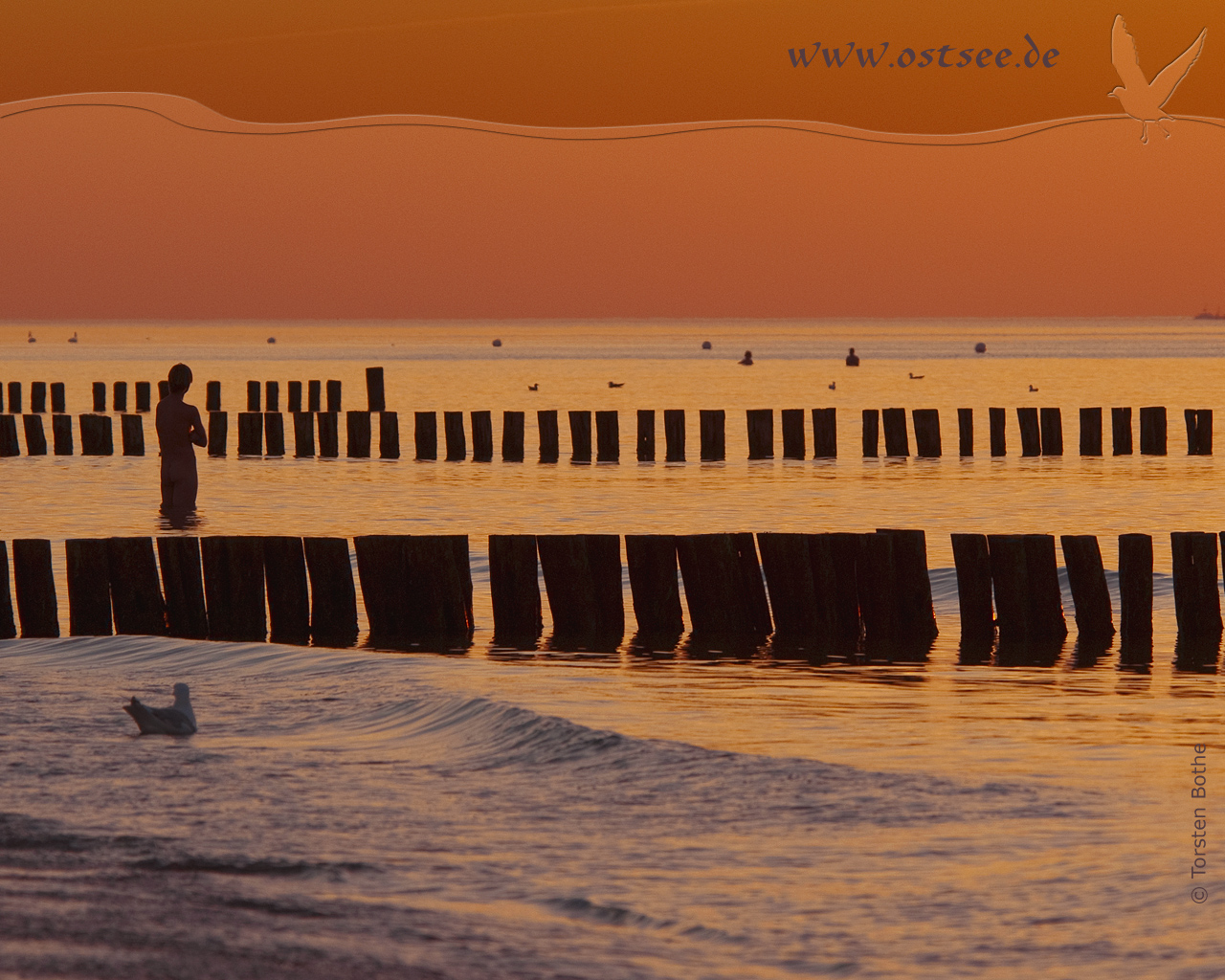 Hintergrundbild: Baden im Sonnenuntergang