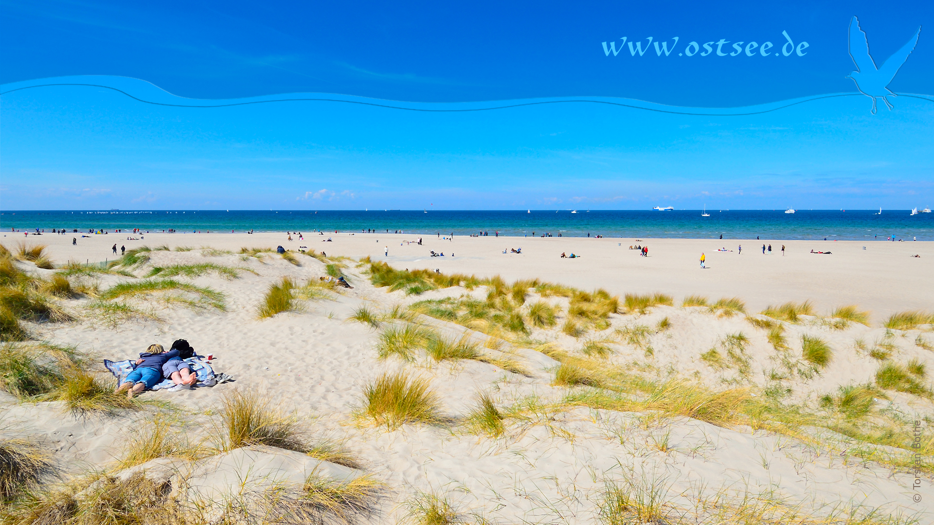 Hintergrundbild: Sommerfeeling an der Ostsee