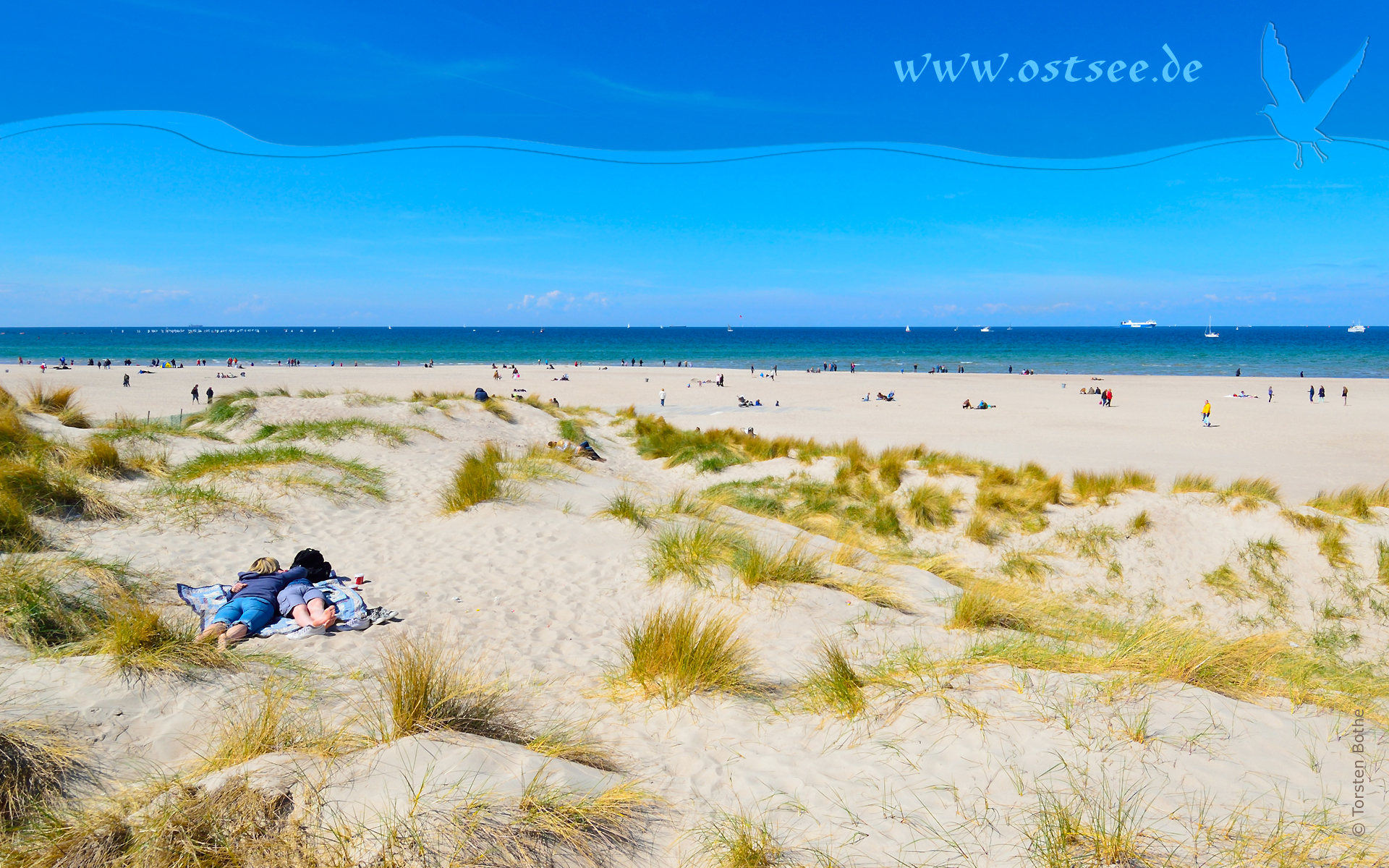 Hintergrundbild: Sommerfeeling an der Ostsee