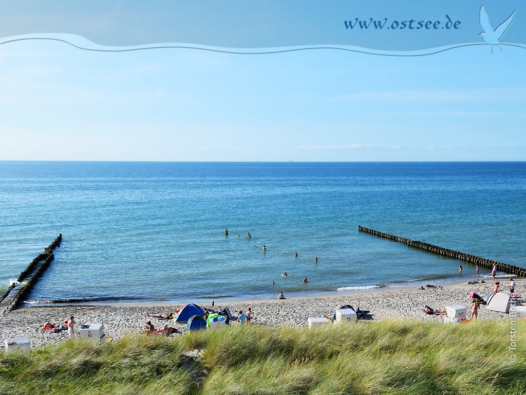 Hintergrundbild: Sommer in Ahrenshoop an der Ostsee