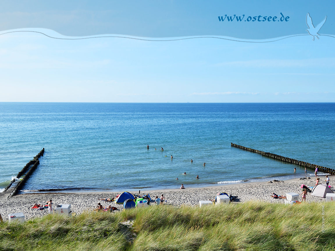 Hintergrundbild: Sommer in Ahrenshoop an der Ostsee