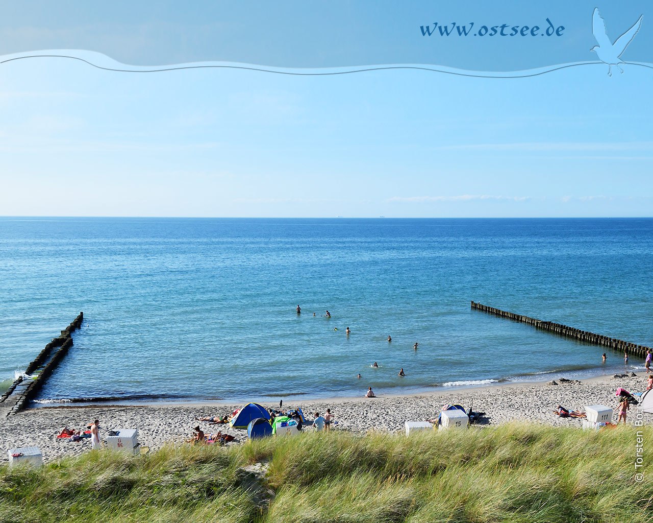 Hintergrundbild: Sommer in Ahrenshoop an der Ostsee