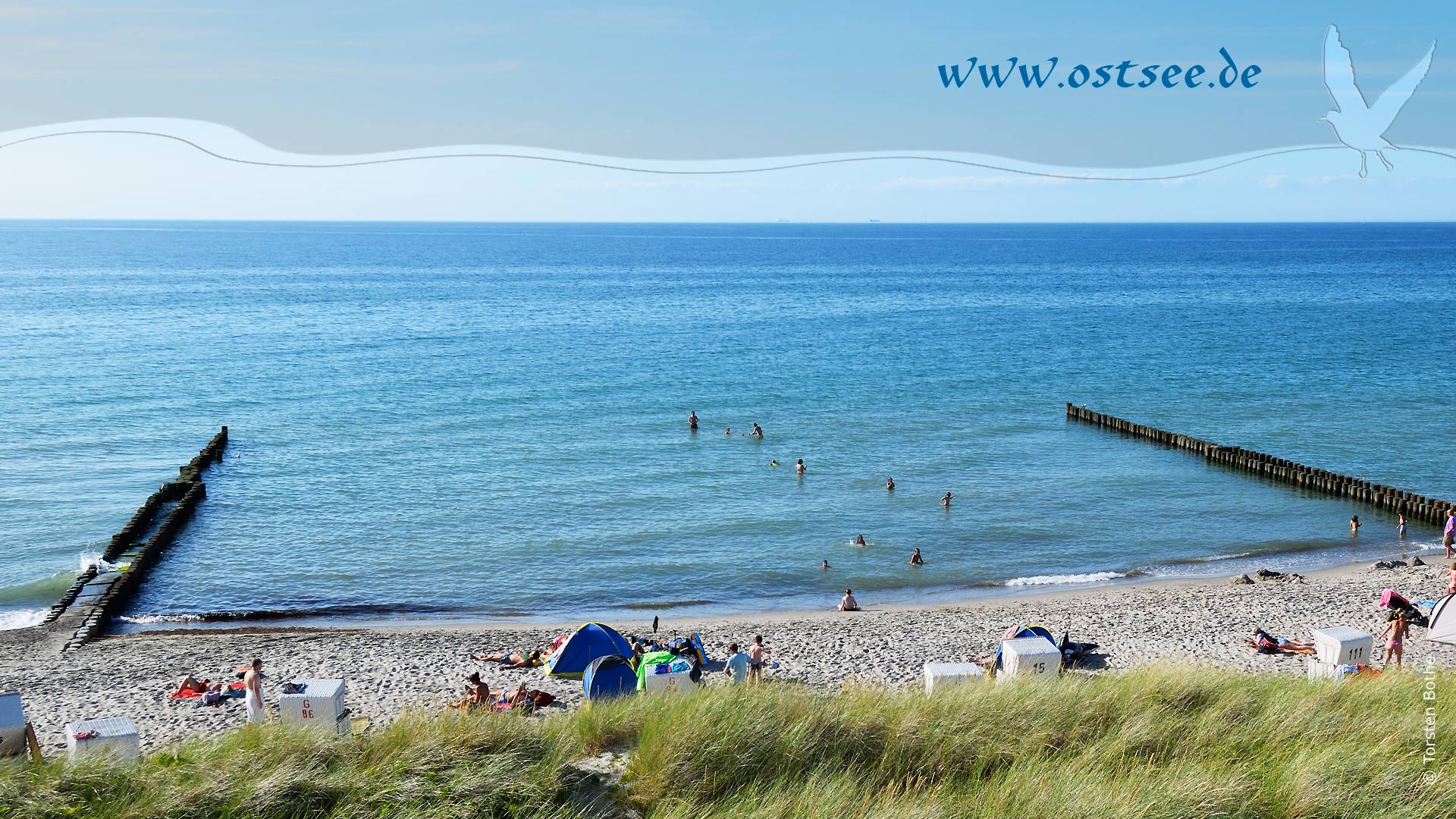 Sommer in Ahrenshoop an der Ostsee