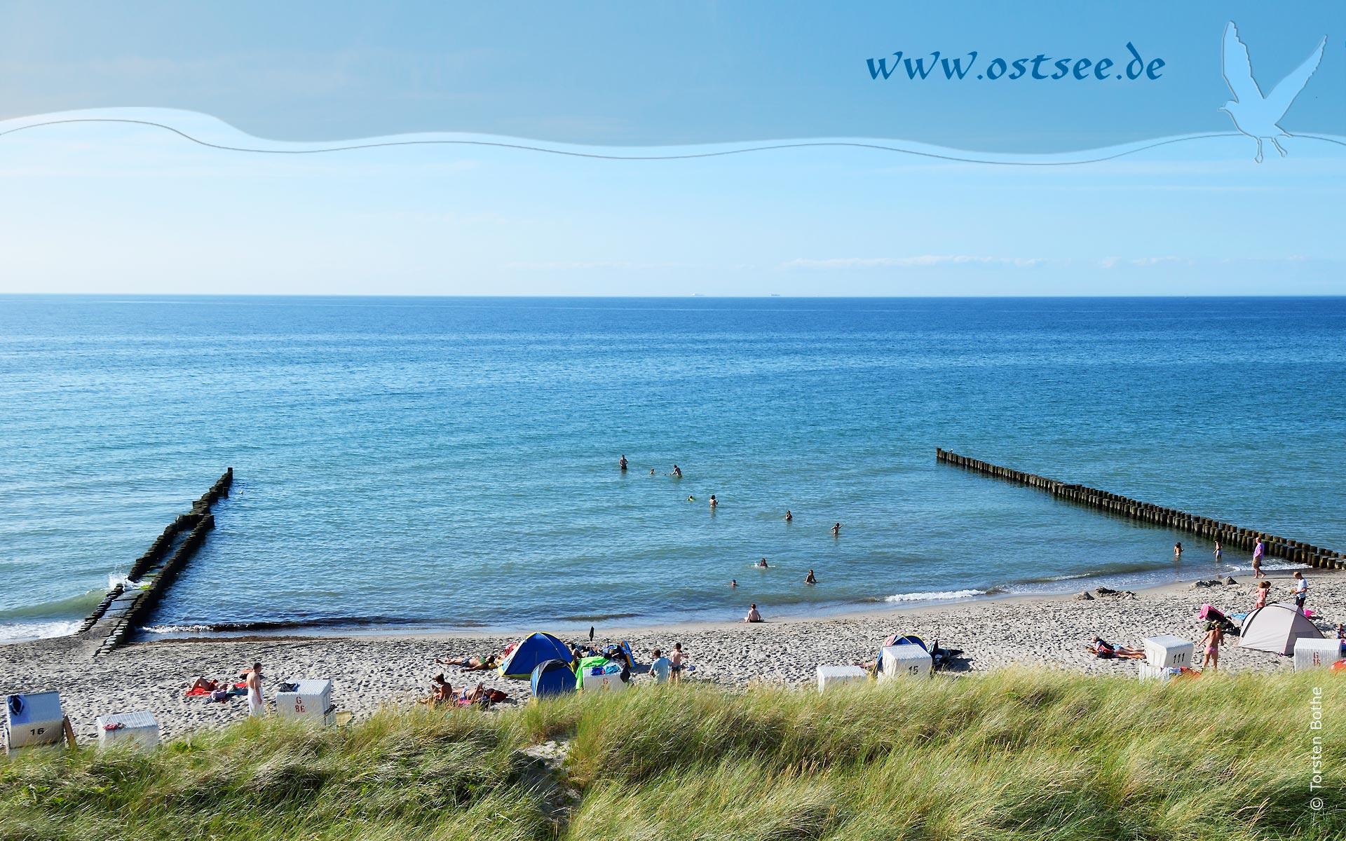 Hintergrundbild: Sommer in Ahrenshoop an der Ostsee