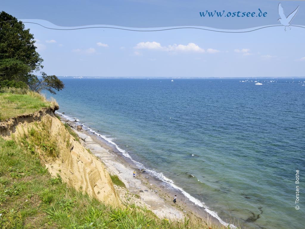 Hintergrundbild: Steilküste an der Ostsee