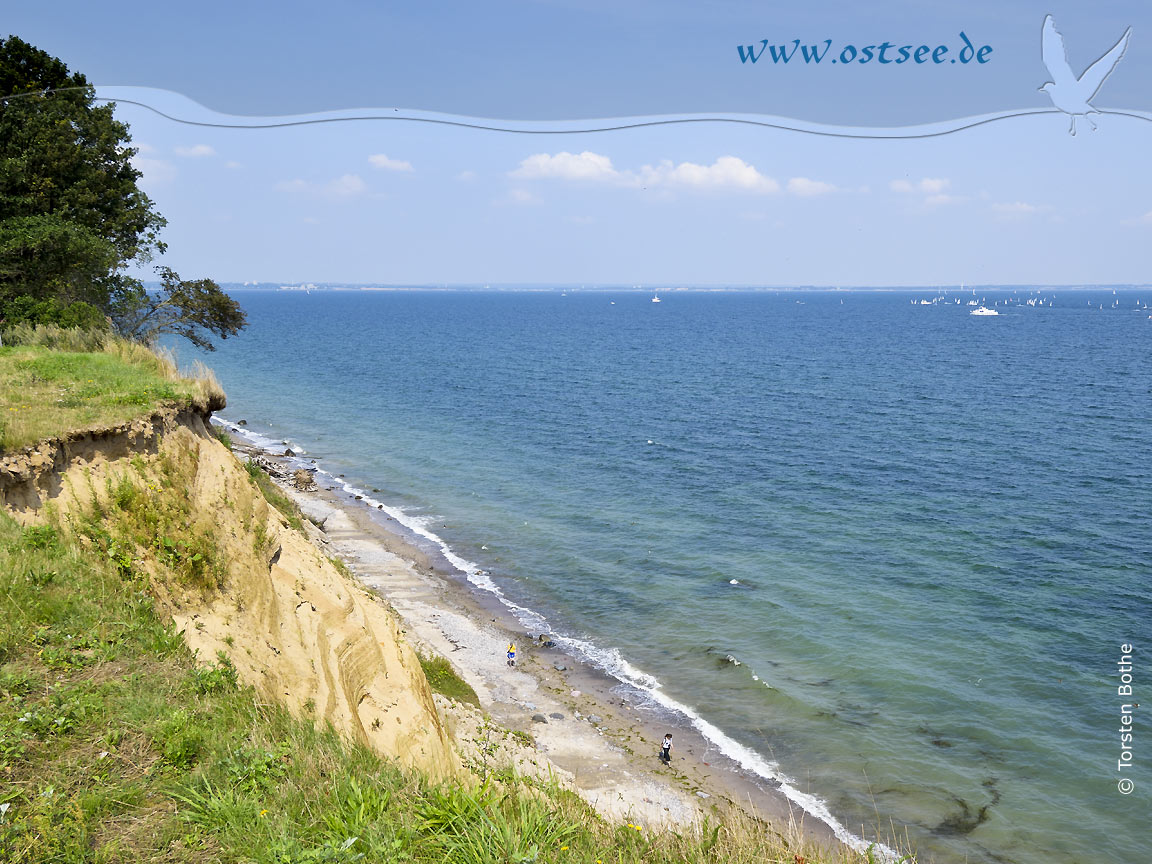 Hintergrundbild: Steilküste an der Ostsee