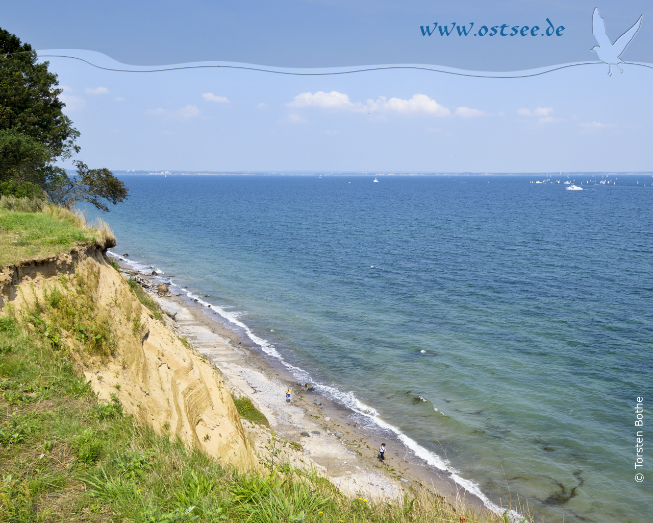 Hintergrundbild: Steilküste an der Ostsee