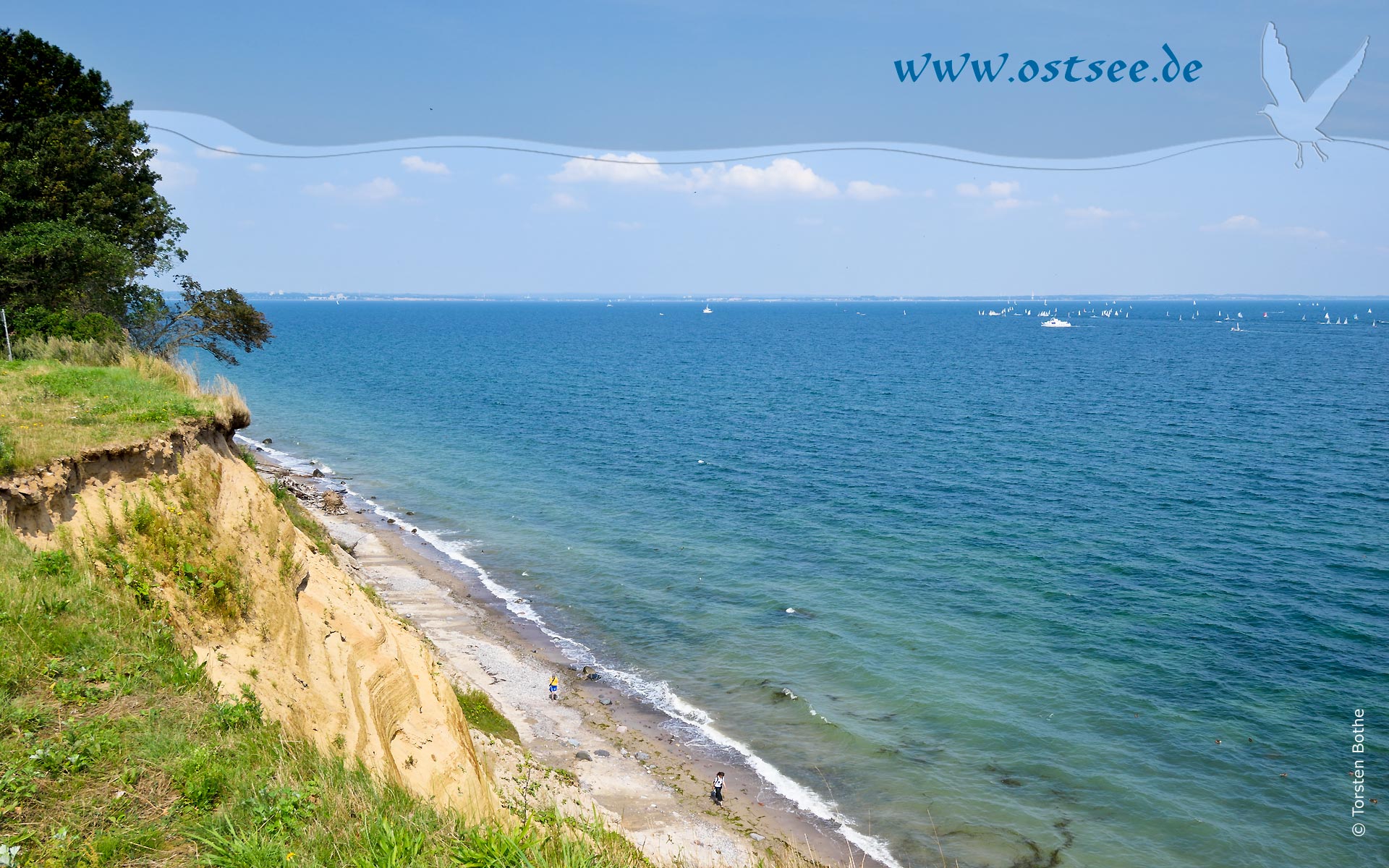 Hintergrundbild: Steilküste an der Ostsee